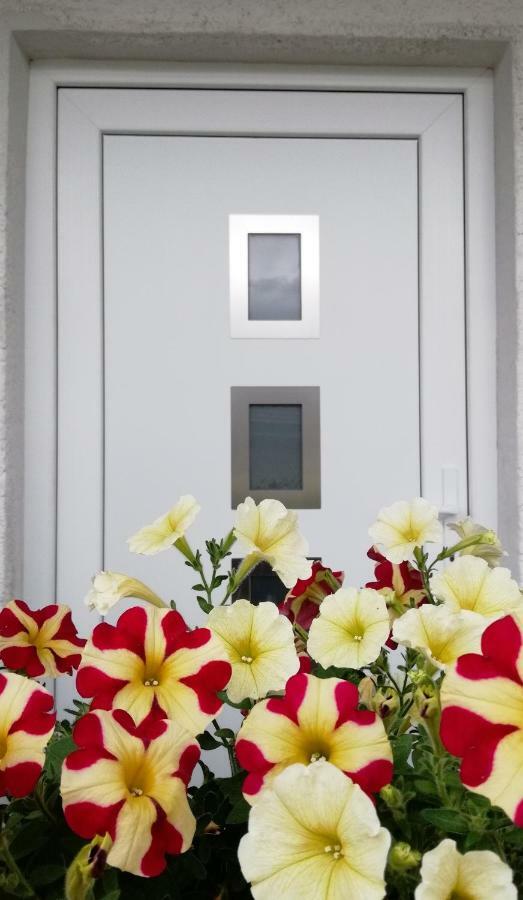 Apartma Vojvoda Bohinj Exteriér fotografie