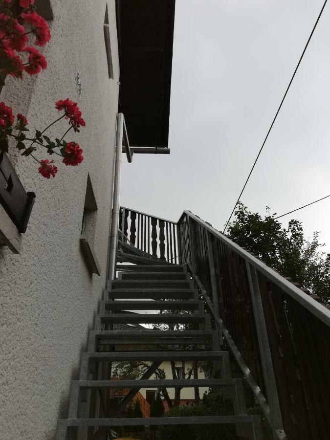 Apartma Vojvoda Bohinj Exteriér fotografie