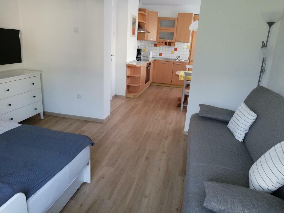 Apartma Vojvoda Bohinj Exteriér fotografie
